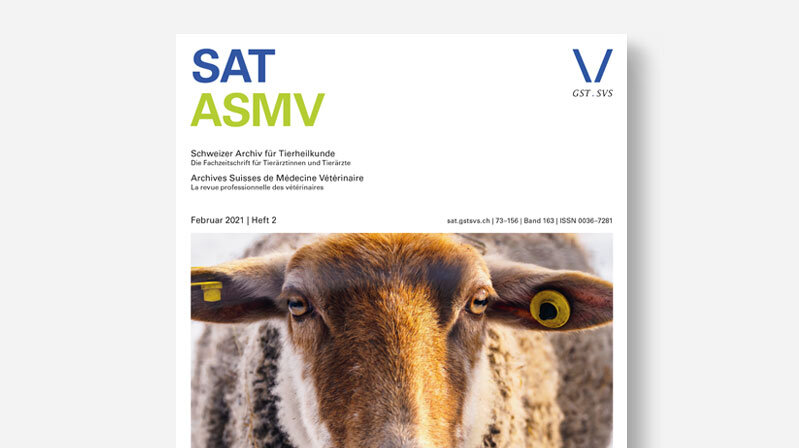 SAT 2/2021