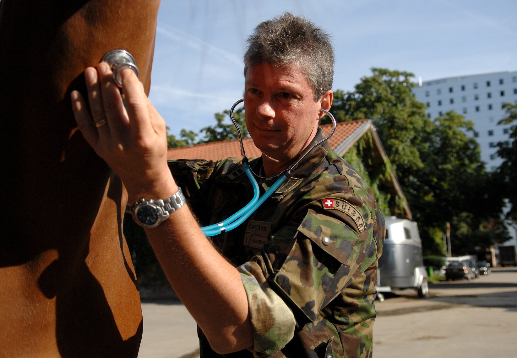 Tierarzt / Tierärztin in der Armee