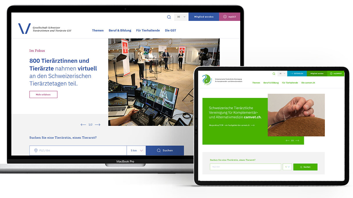 Neue Webseite der GST