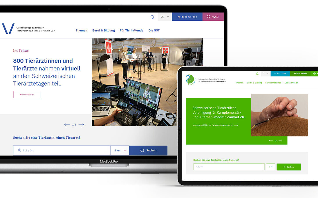 Nouveau site web de la SVS