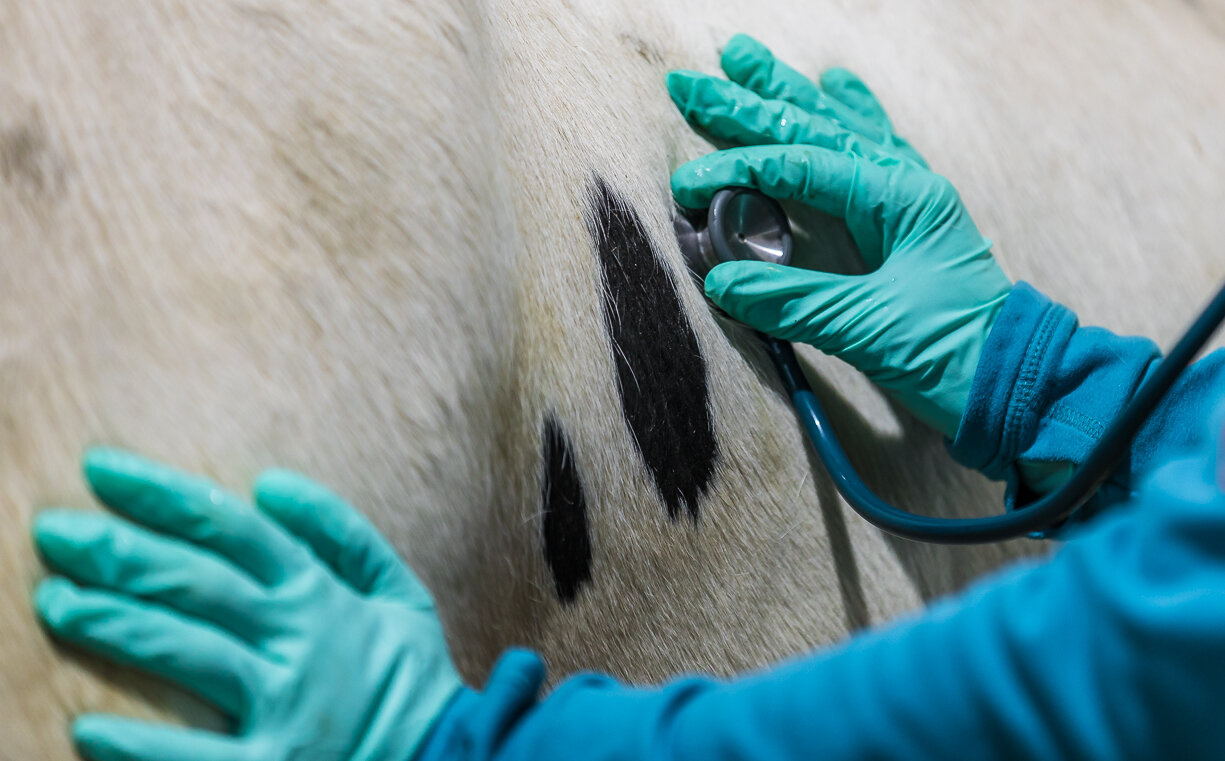 Öffentliche Gesundheit