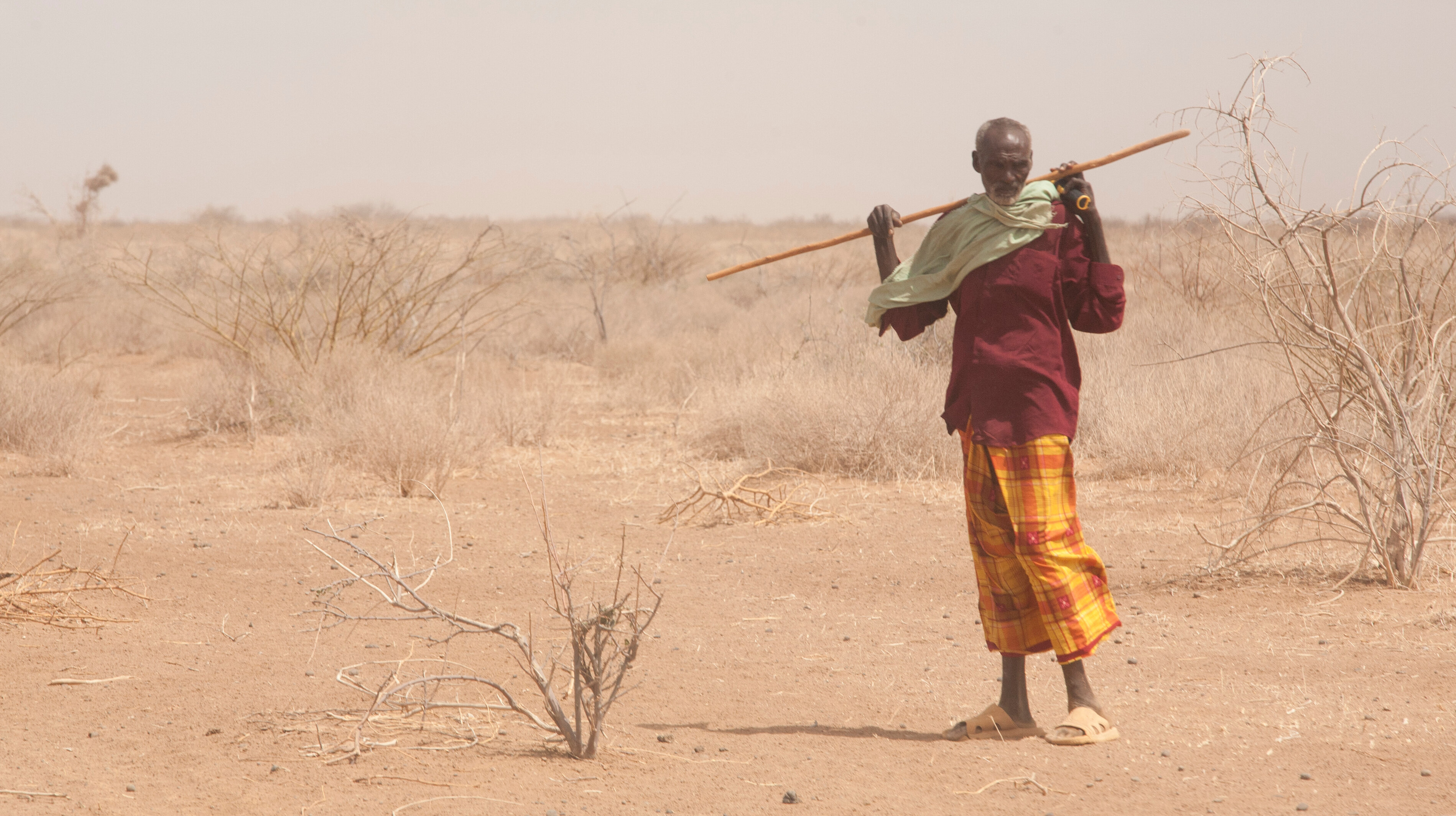 Angehöriger des Burana-Stammes in Kenia