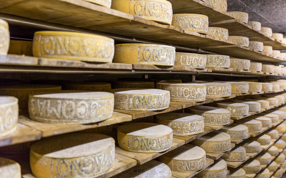 Lebensmittelsicherheit: Käse