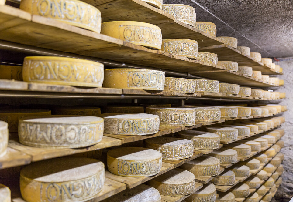 Lebensmittelsicherheit