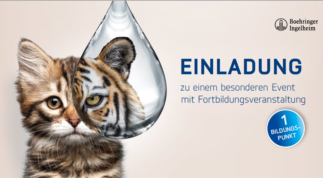 Multiparasitismus bei der Katze in Bern