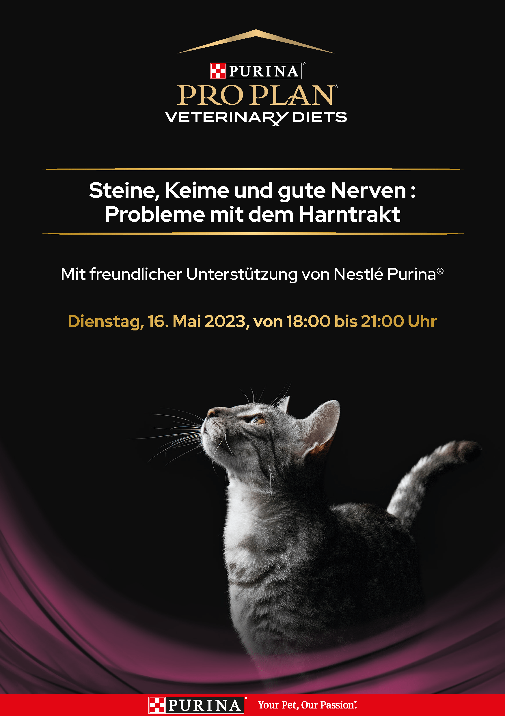 Steine, Keime und gute Nerven : Probleme mit dem Harntrakt