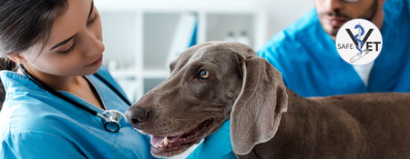 Sibe- /Kopas-Kurs VET 2 Tage