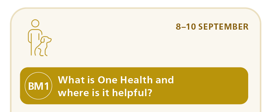 What is One Health and where is it helpful?