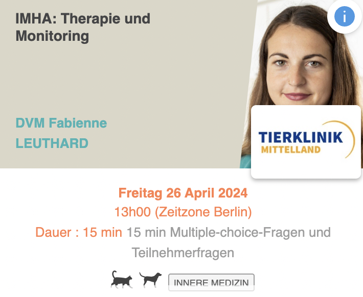IMHA: Therapie und Monitoring