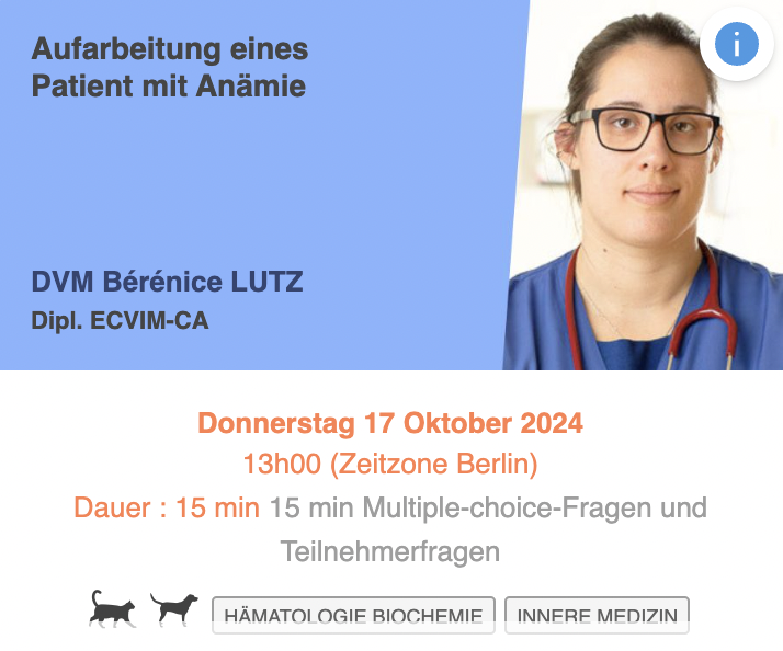 Aufarbeitung eines Patient mit Anämie