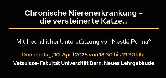 Chronische Nierenerkrankung – die versteinerte Katze…
