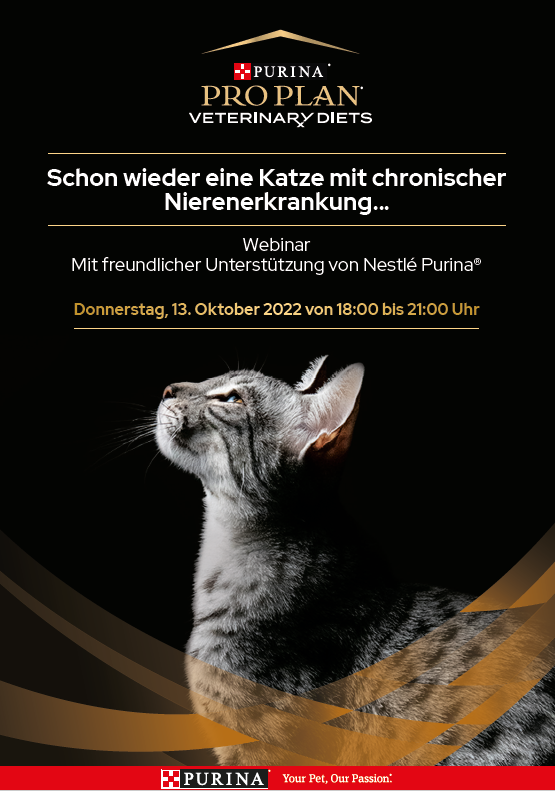 Schon wieder eine Katze mit chronischer Nierenerkrankung…