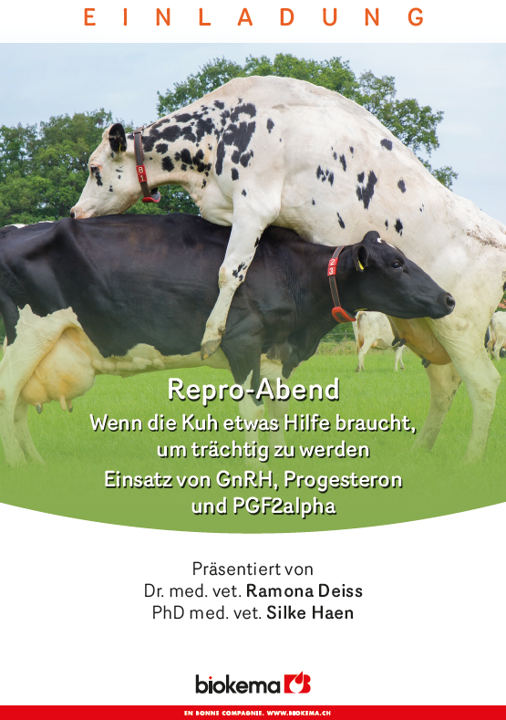 Repro-Abend: Wenn die Kuh etwas Hilfe braucht, um trächtig zu werden Einsatz von GnRH, Progesteron und PGF2alpha