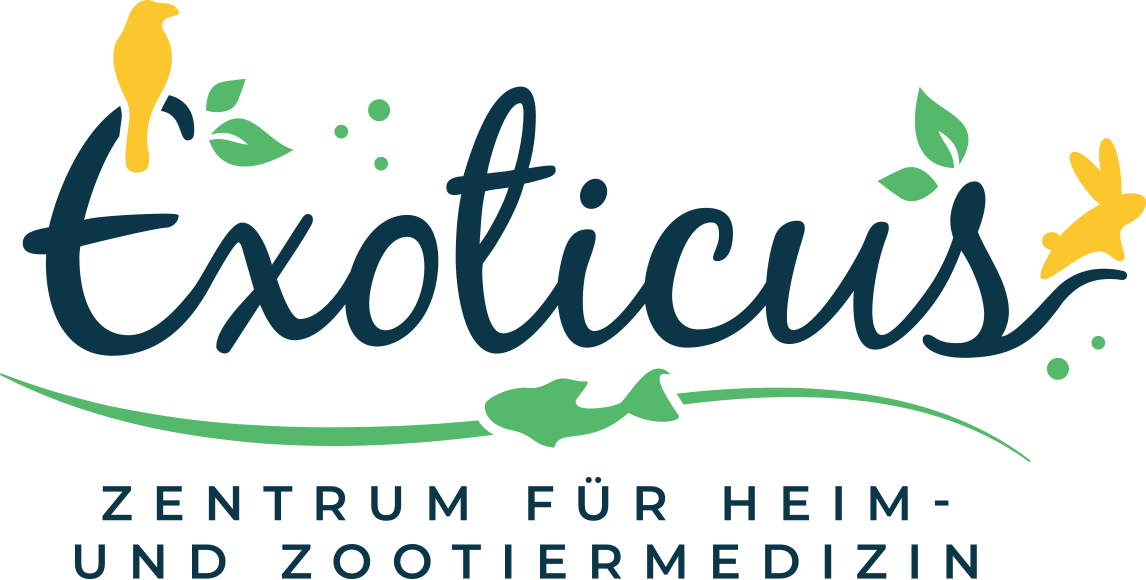 Exoten im Praxisalltag – Teil 1: Anamnese, Untersuchung & Diagnostik