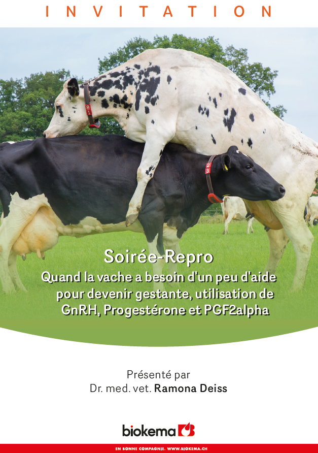 Soirée-Repro Quand la vache a besoin d'un peu d'aide pour devenir gestante, utilisation de GnRH, Progestérone et PGF2alpha