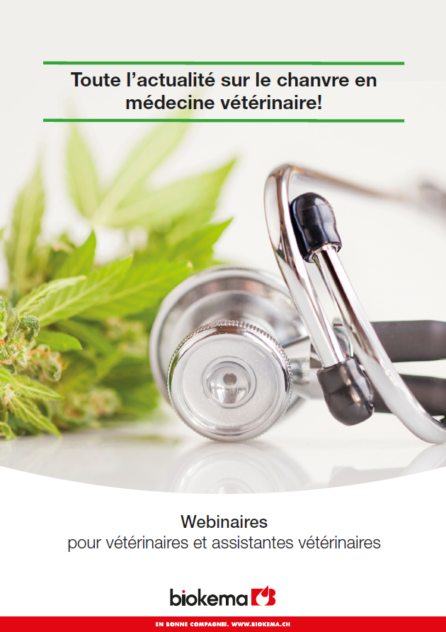 Toute l’actualité sur le chanvre en médecine vétérinaire! - 19 octobre 2022 (AMV)