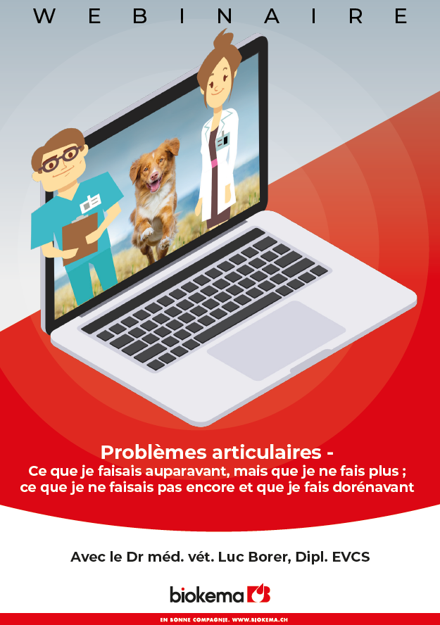 Problèmes articulaires chez le chien, webinaire le 5.04.2023