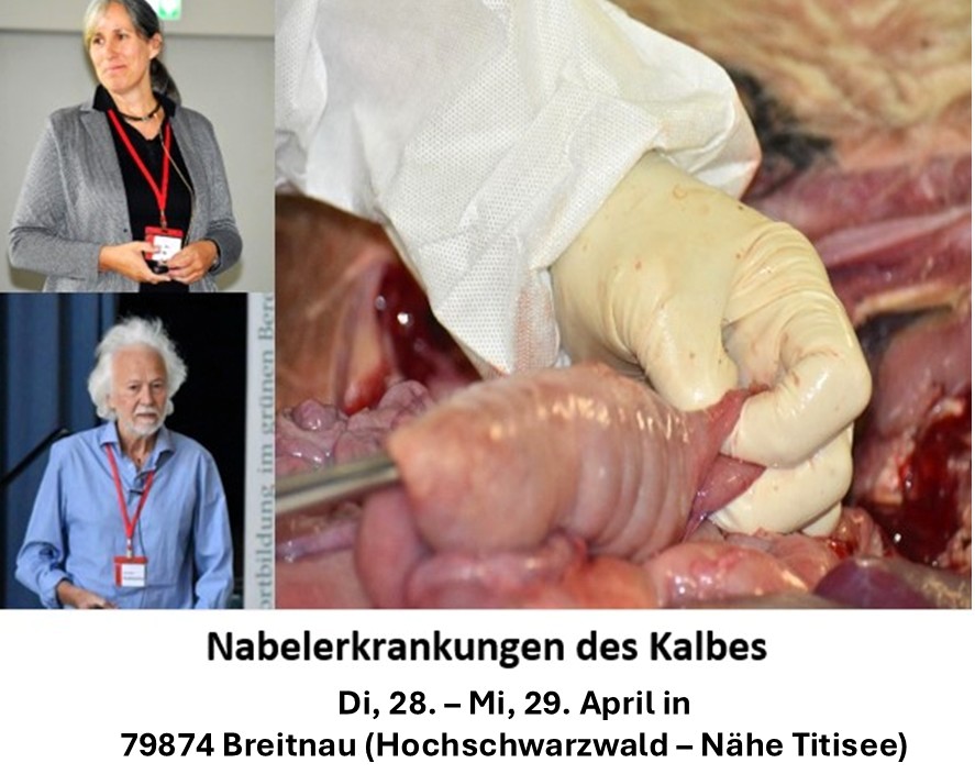 Nabelerkrankungen des Kalbes & Fälle aus der Rinderpraxis-Schwerpunkt Kalb