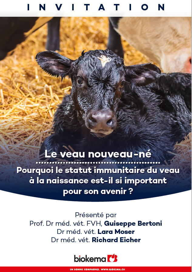 Le veau nouveau-né - Crisser - 01.06.2023