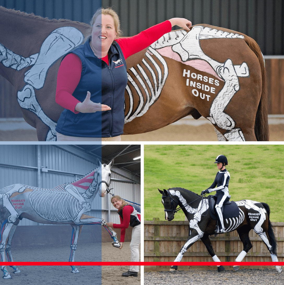 Horses Inside Out: Abendshow mit Gillian Higgins (GB)