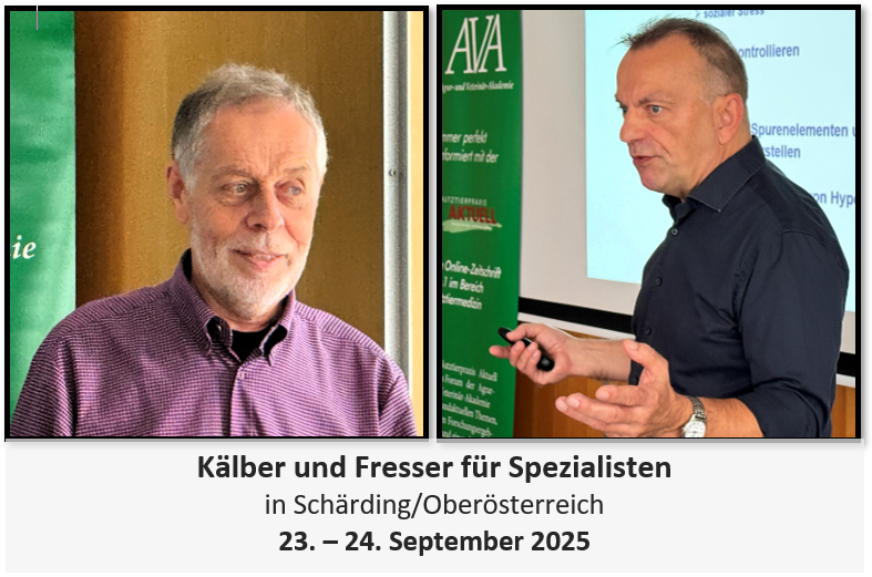 Kälber & Fresser für Spezialisten
