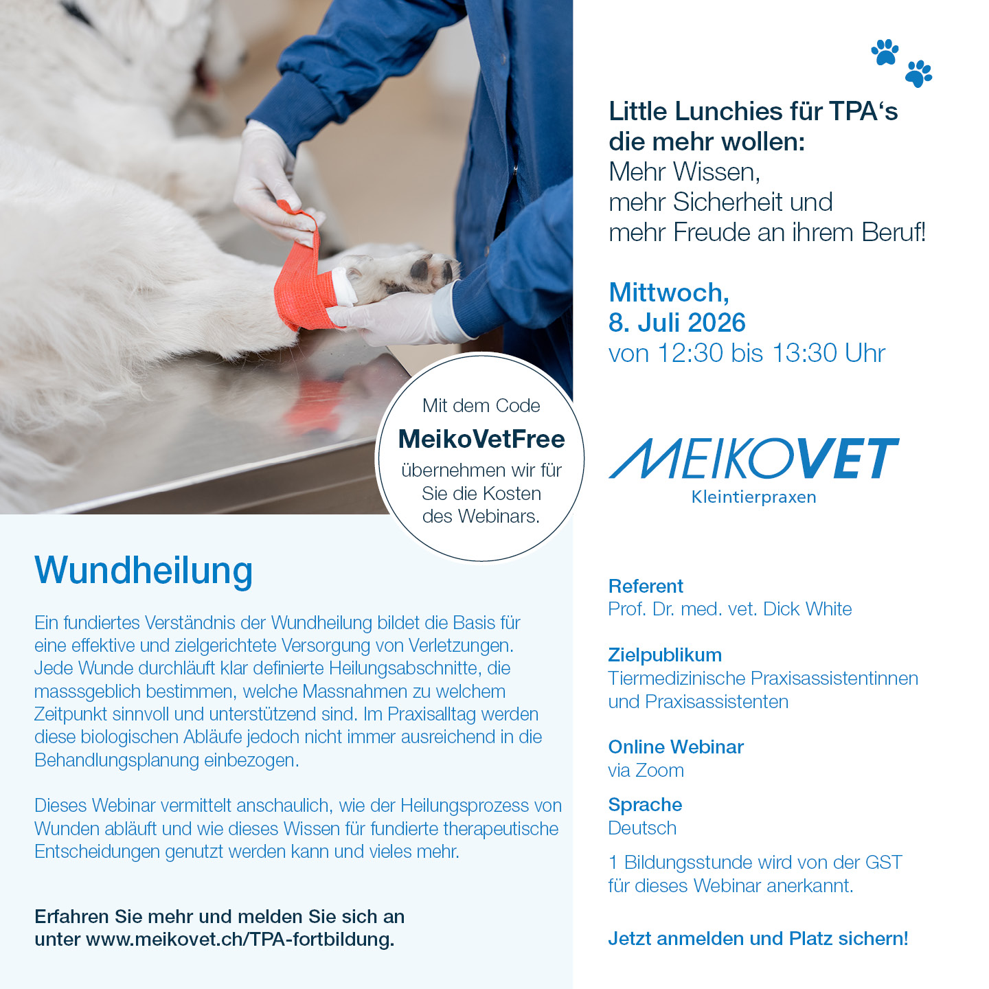 Little Lunchies für TPA's: Wundheilung