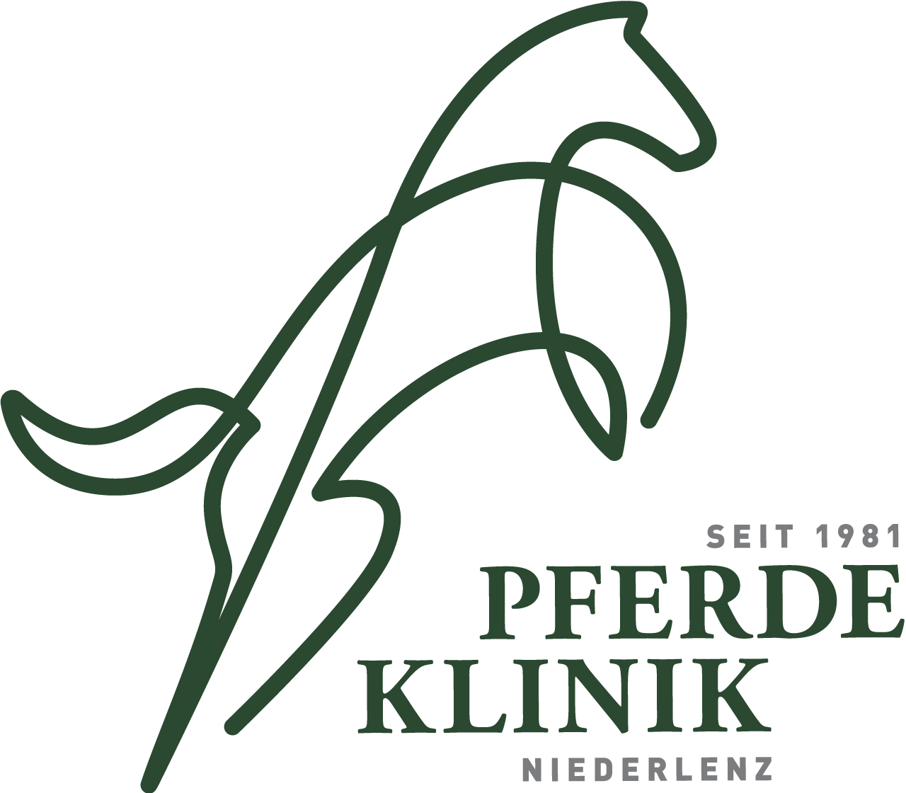 Practical Equine Colic Surgery Course
