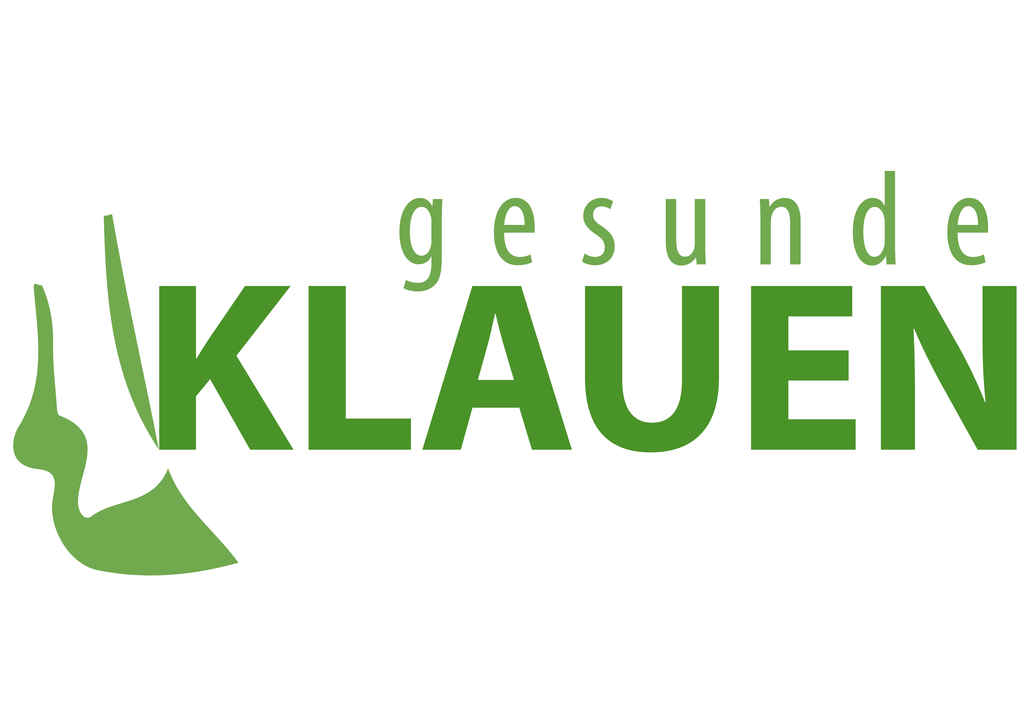 Fortbildung für Bestandestierärztinnen und Bestandestierärzte rund um die "Gesunde Klaue"