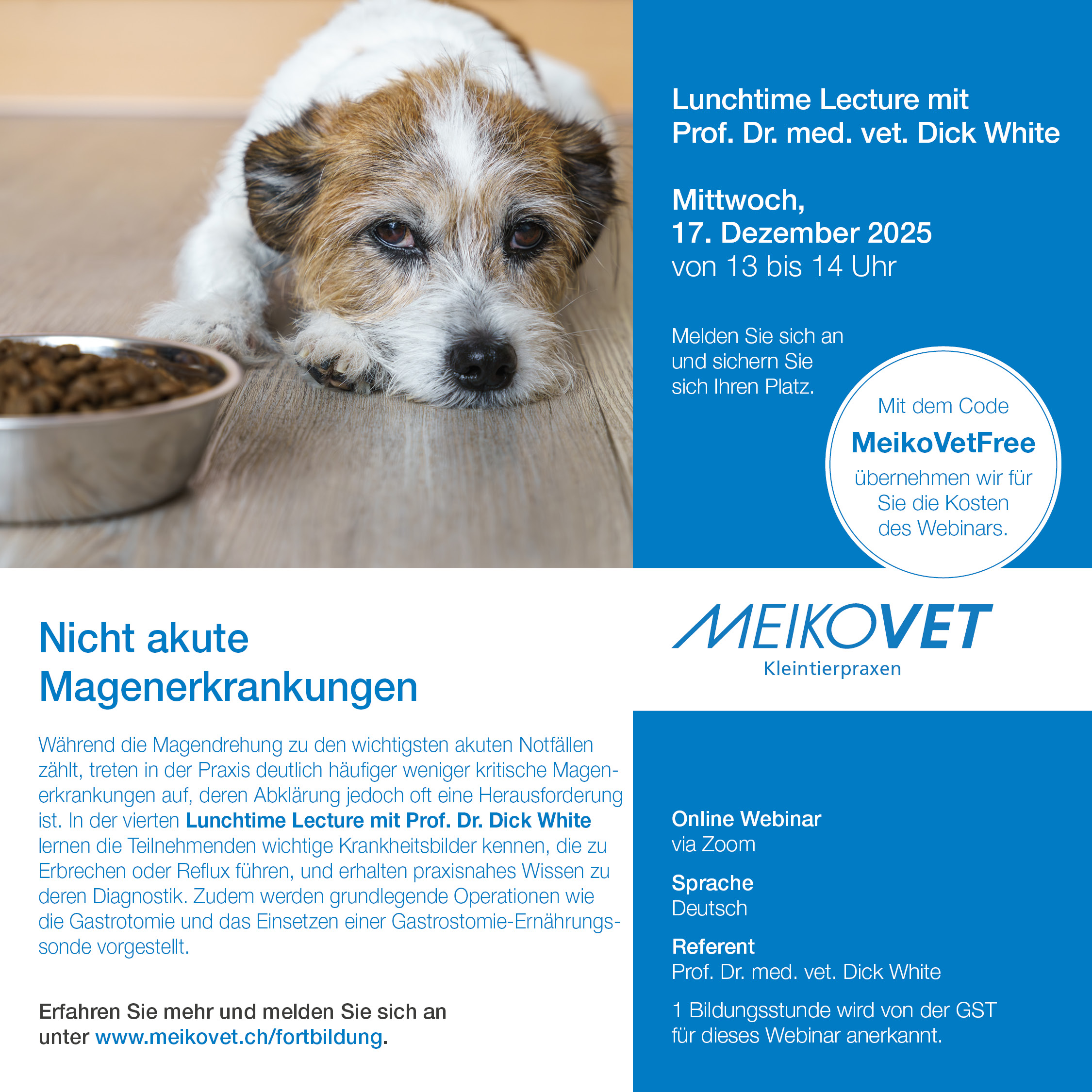 Lunchtime Lectures mit Prof. Dr. Dick White: Nicht akute Magenerkrankungen