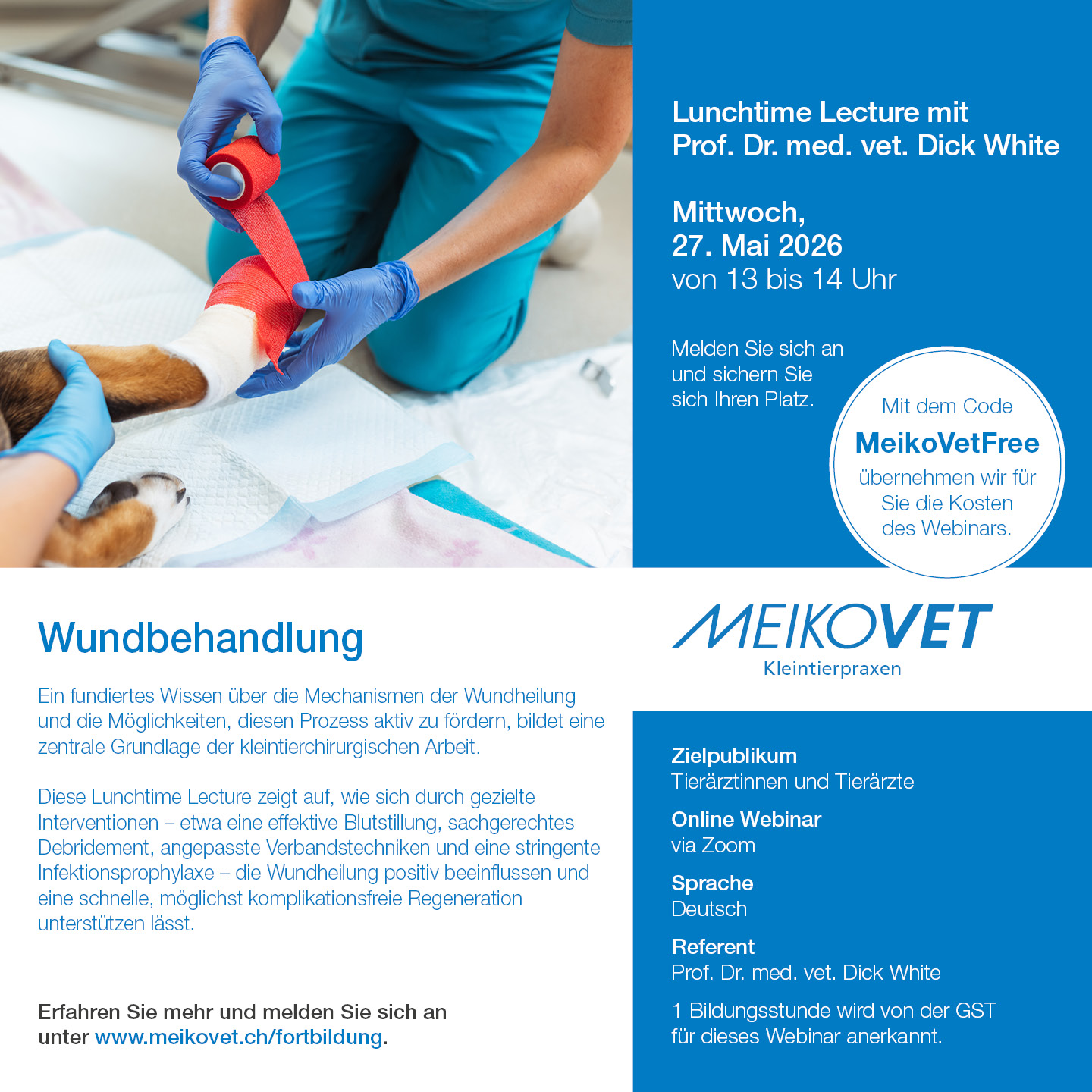 Lunchtime Lectures mit Prof. Dr. Dick White: Wundbehandlung