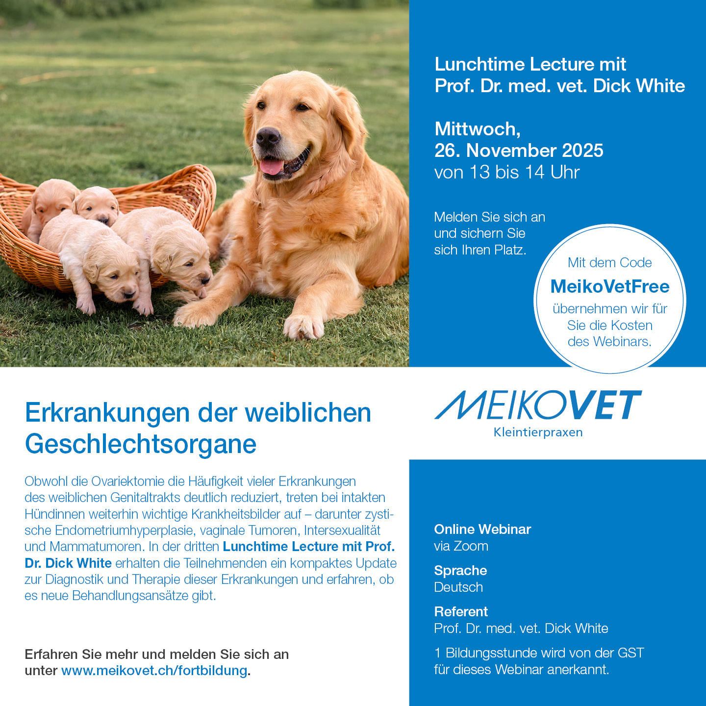 Erkrankungen der weiblichen Geschlechtsorgane