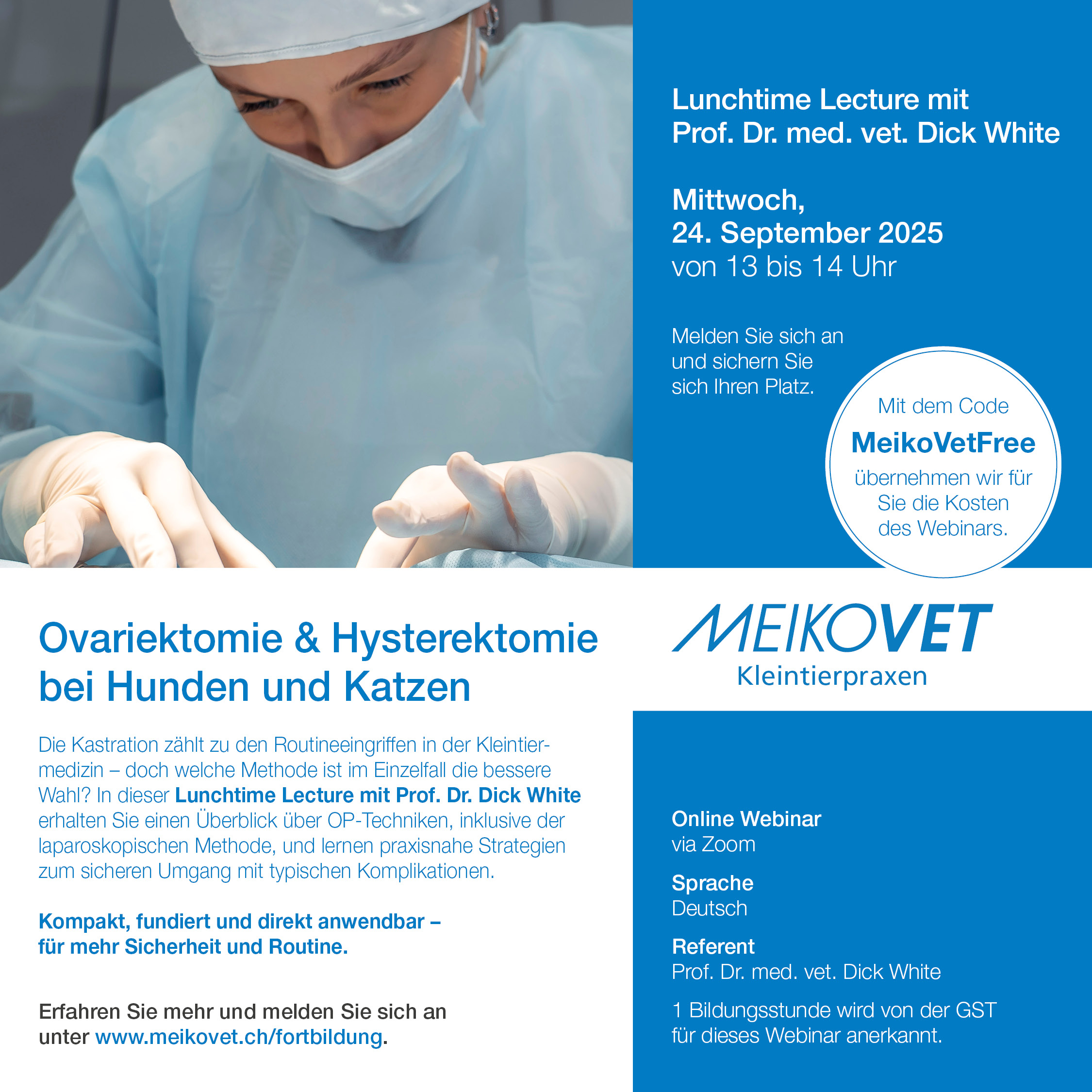 Ovariektomie und Hysterektomie bei Hunden und Katzen