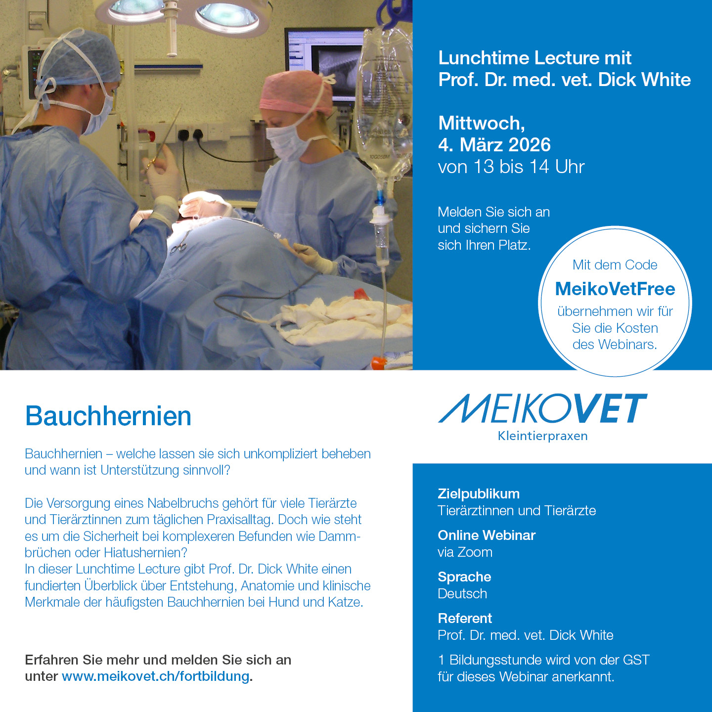 Lunchtime Lectures mit Prof. Dr. Dick White: Bauchhernien