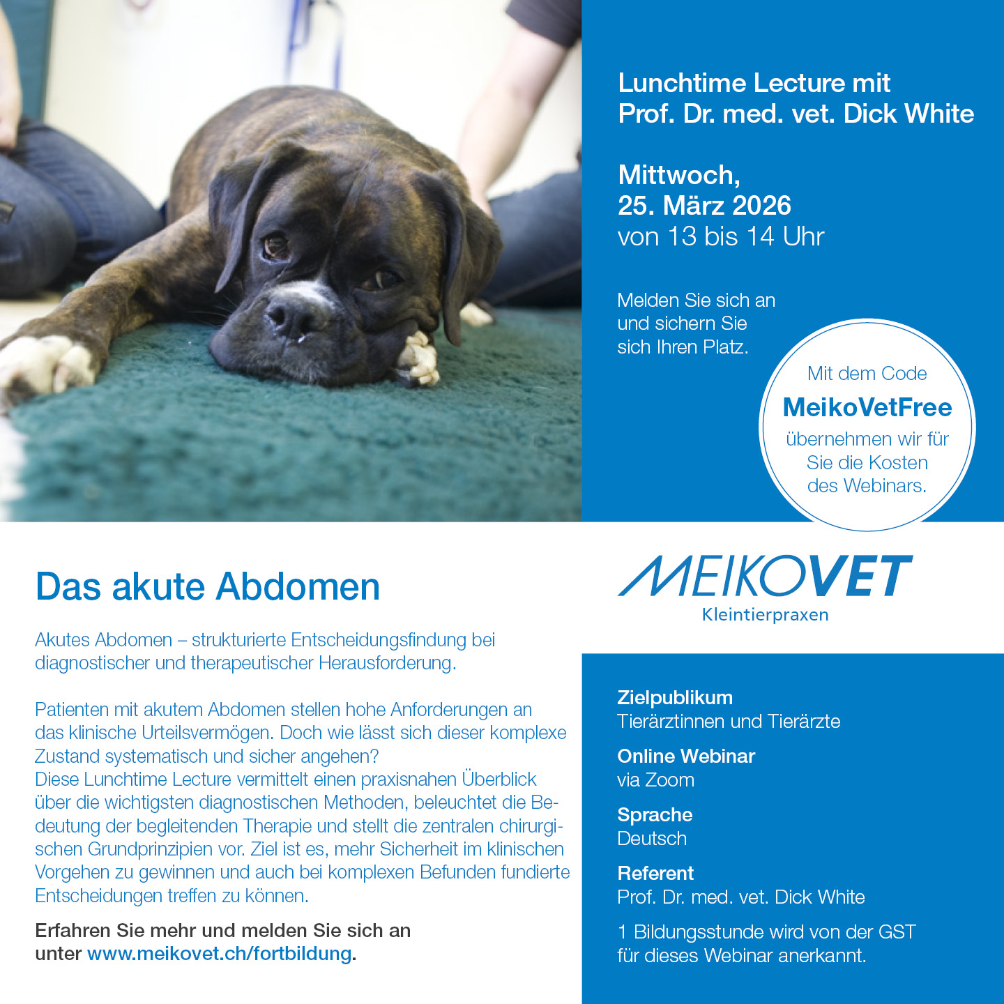 Lunchtime Lectures mit Prof. Dr. Dick White: Das akute Abdomen
