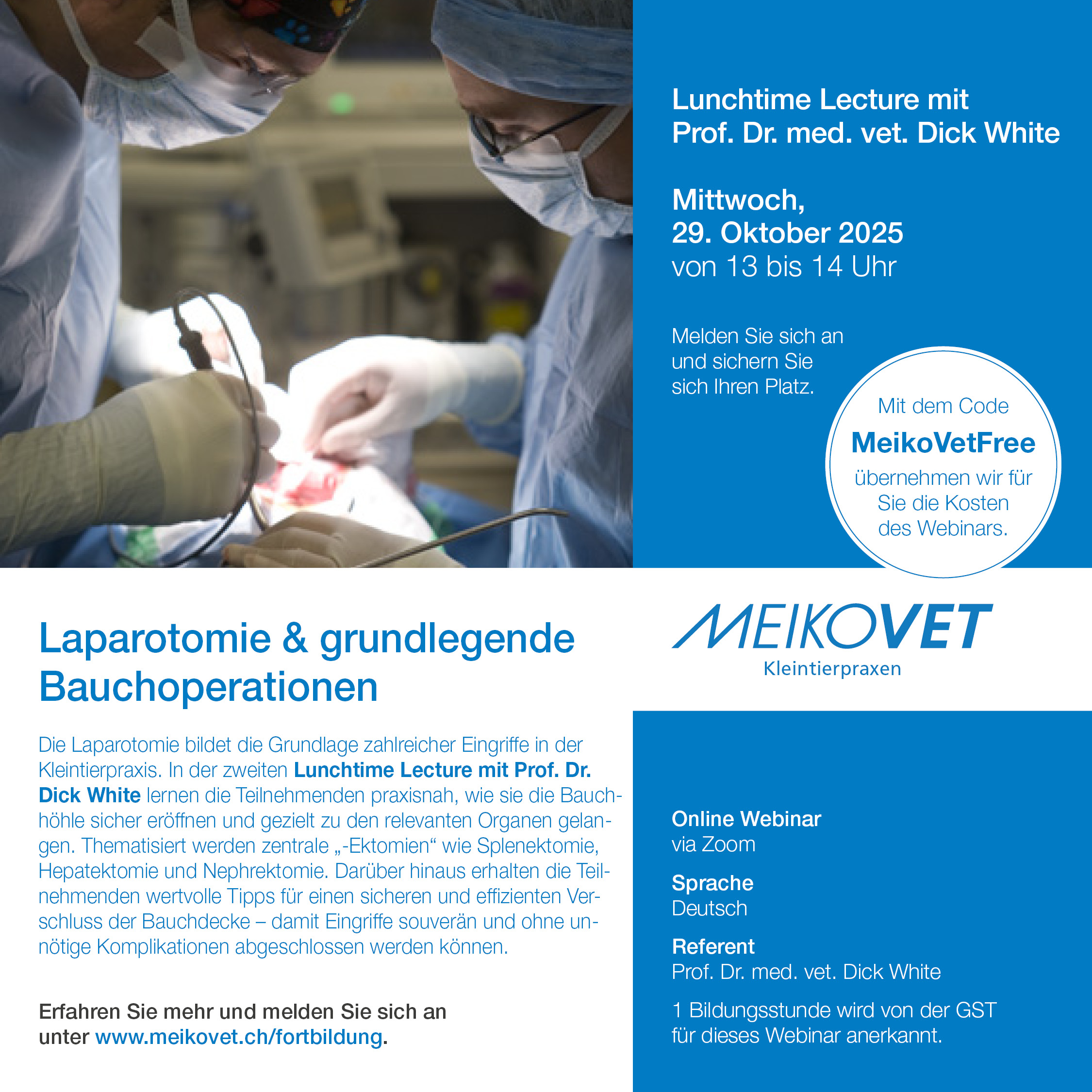 Laparotomie und grundlegende Bauchoperationen
