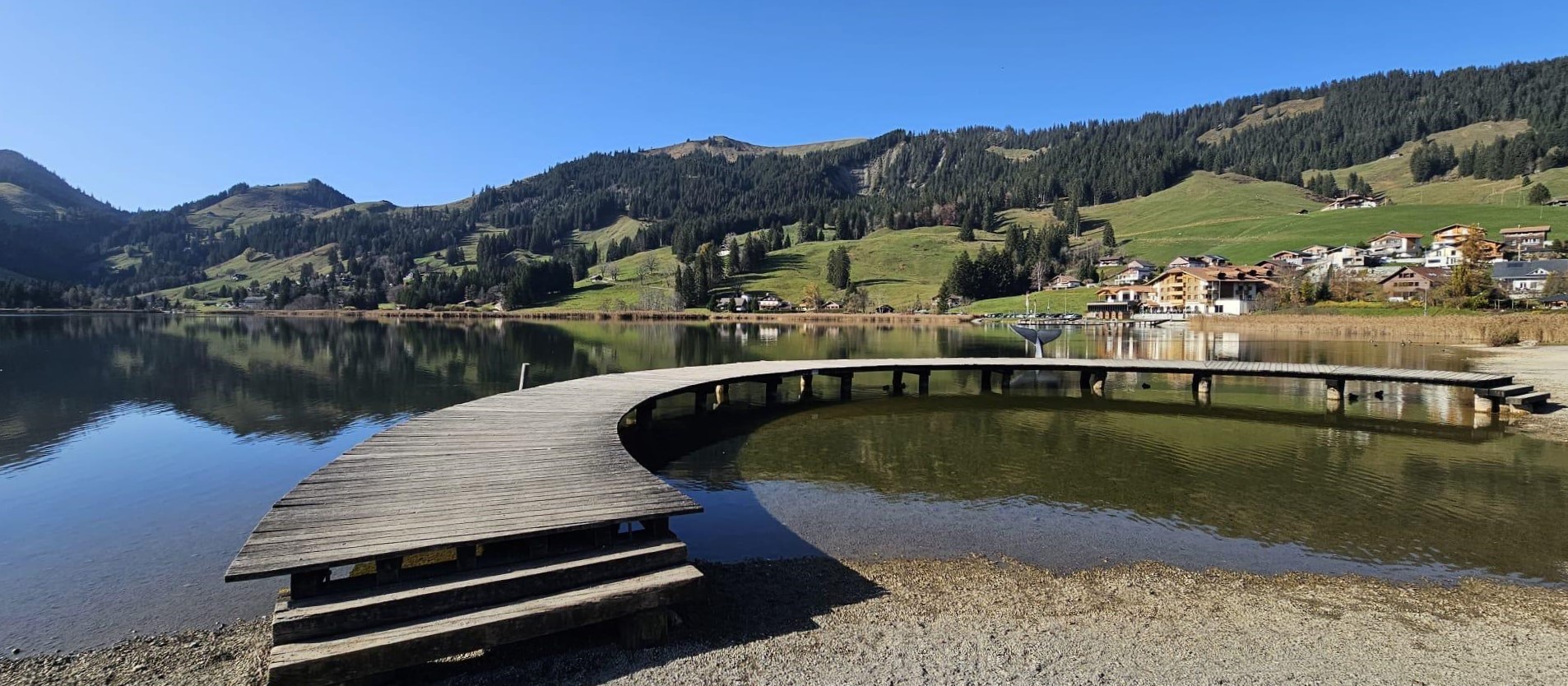 42. camvet.ch - Jahrestagung