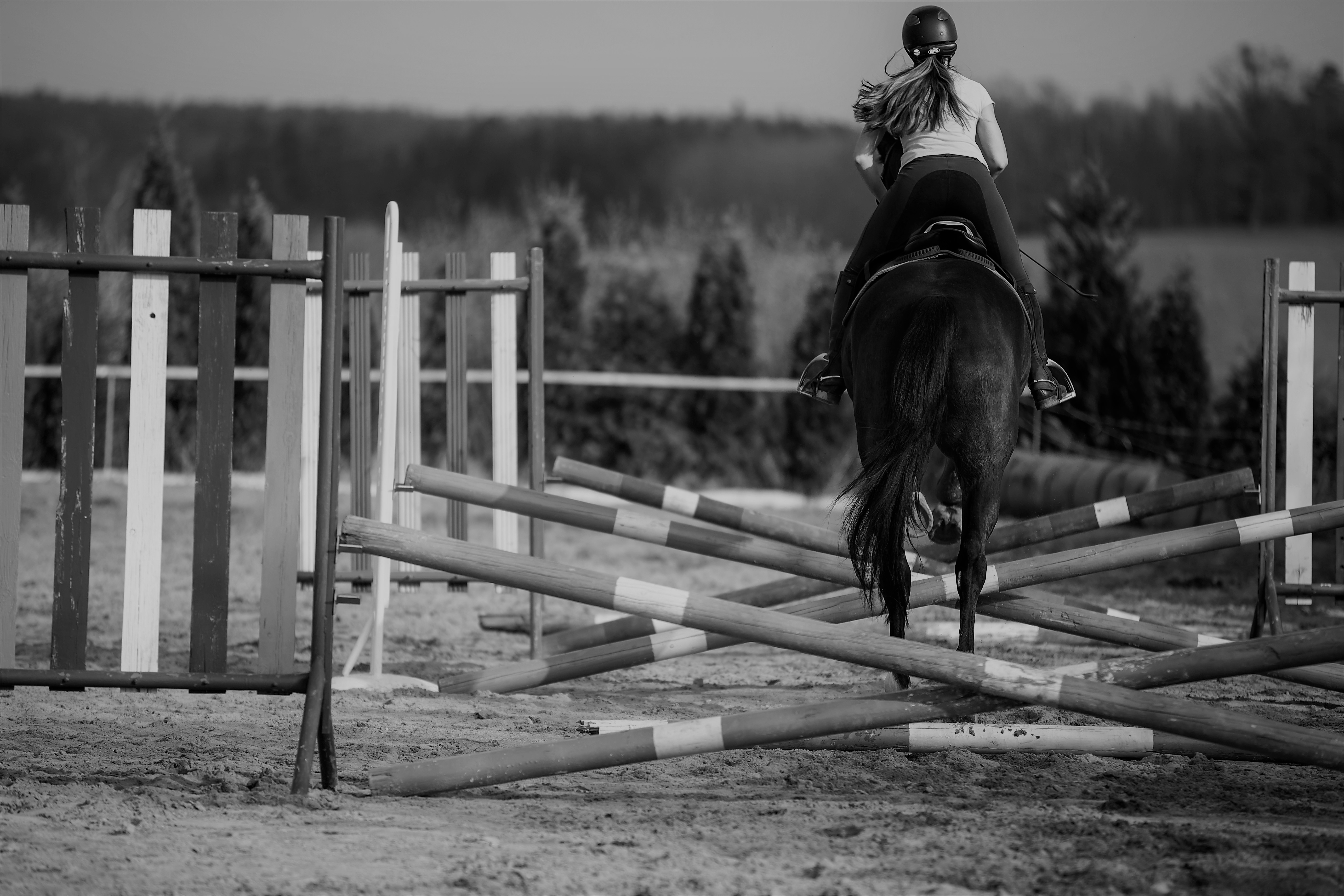 Respect du bien-être du cheval et performance: comment planifier son entraînement? /Respekt des Wohlbefindens des Pferdes und Leistung: wie plant man sein Training?