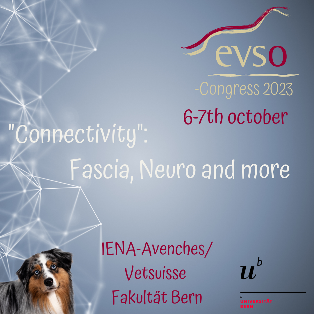 EVSO Congress 2023 - "Connectivity": Fascia, Neuro and more...