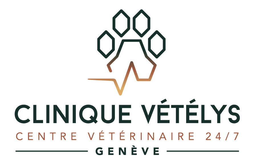 Module "Trouble de la démarche : ortho ou neuro ?" Cycle de 2 soirées repas - conférences