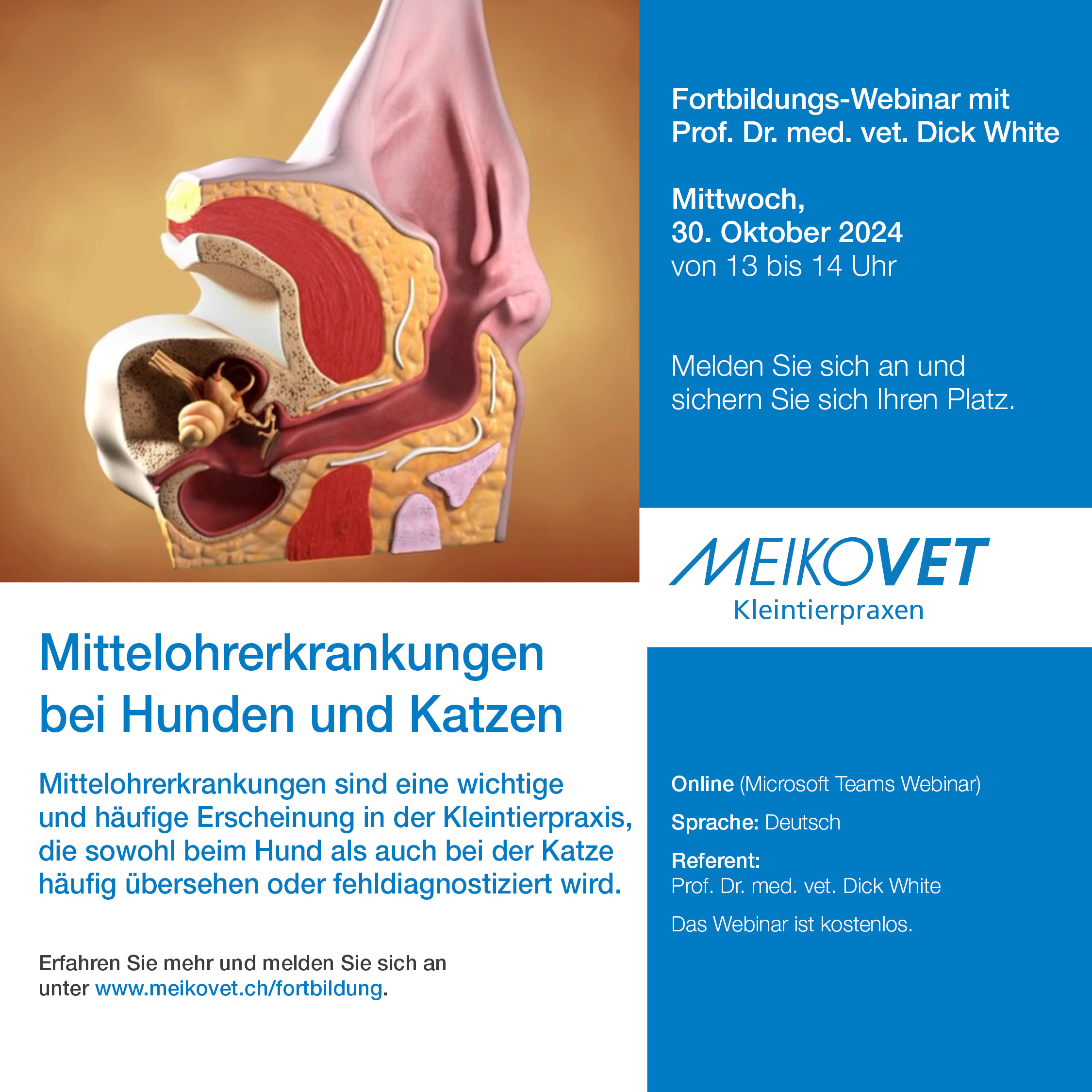 Mittelohrerkrankungen bei Hunden und Katzen