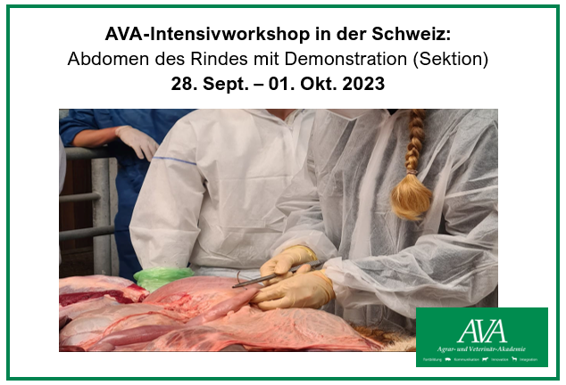 Abdomen des Rindes mit Demonstrationen (Sektion)