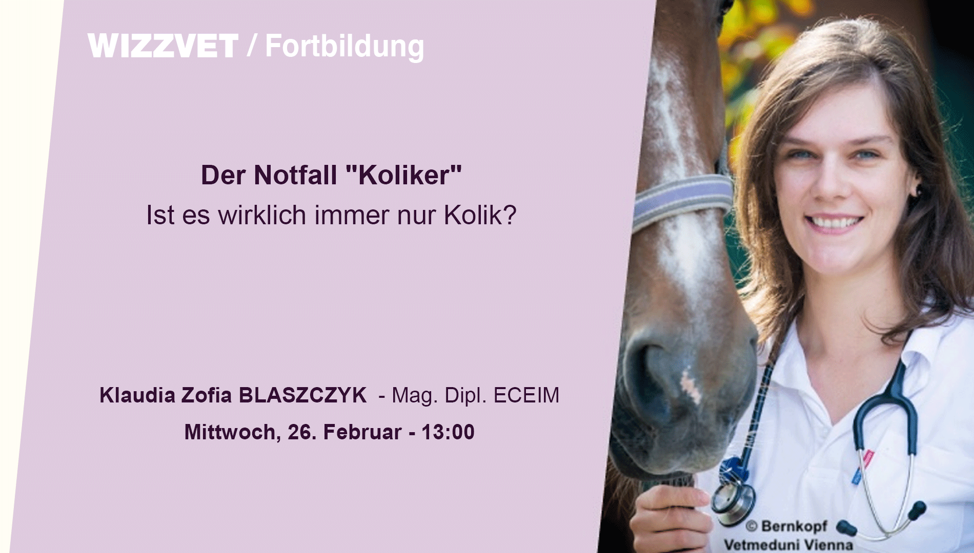 Der Notfall "Koliker" - Ist es wirklich immer nur Kolik?