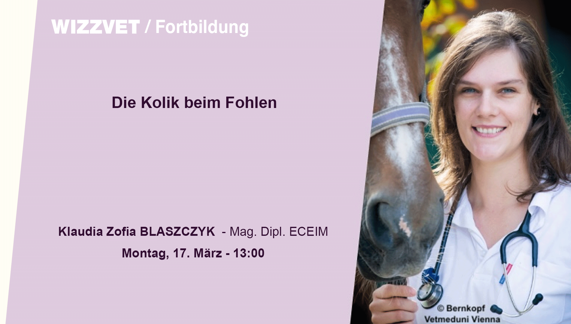Die Kolik beim Fohlen