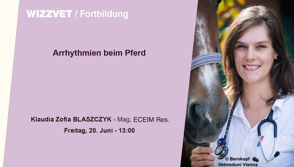 Arrhythmien beim Pferd