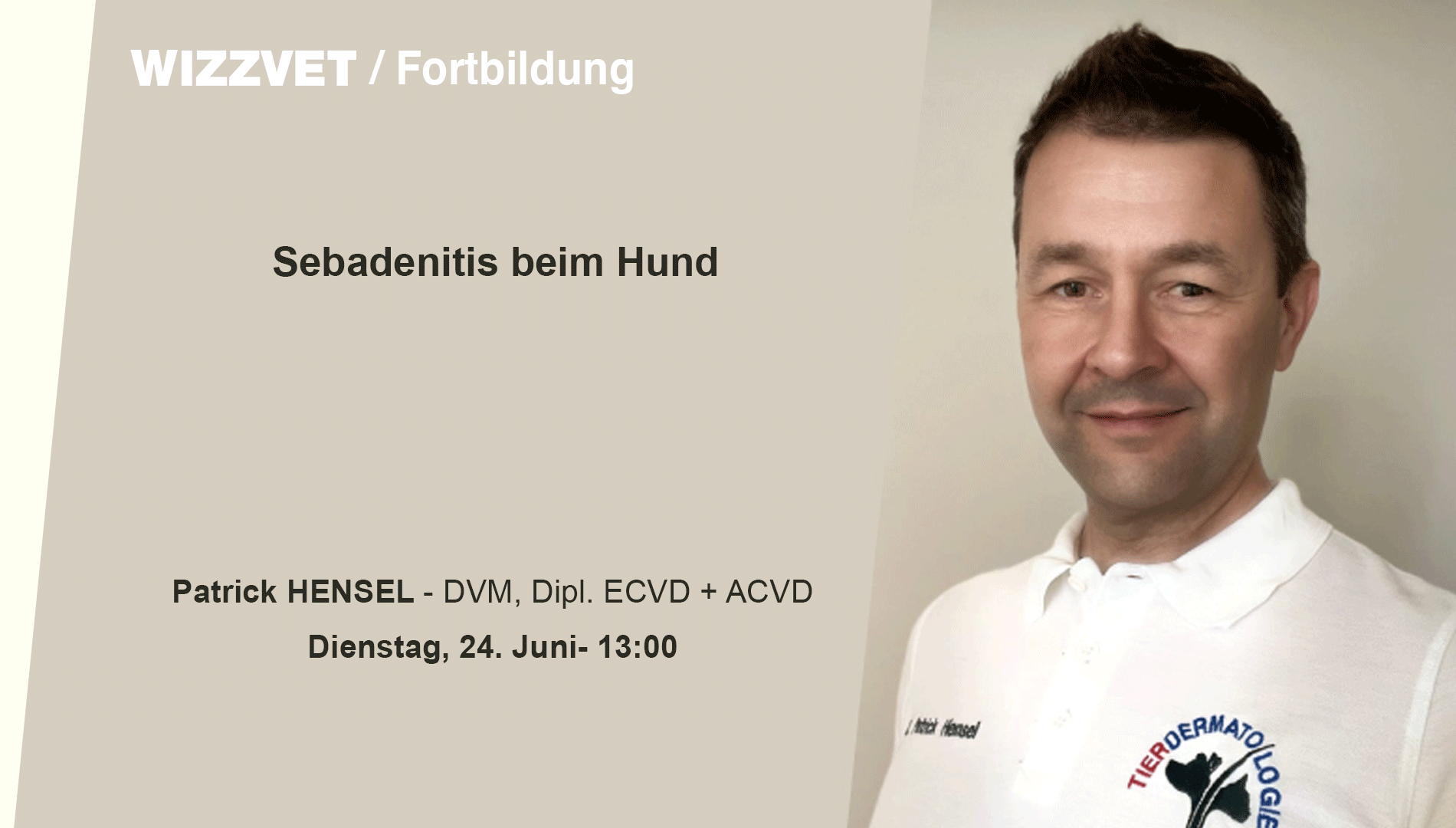 Sebadenitis beim Hund