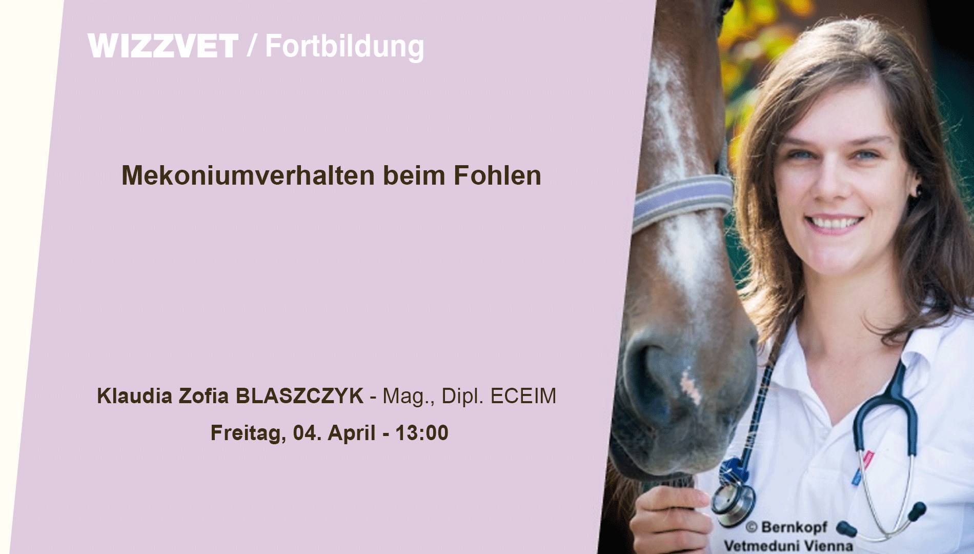 Mekoniumverhalten beim Fohlen