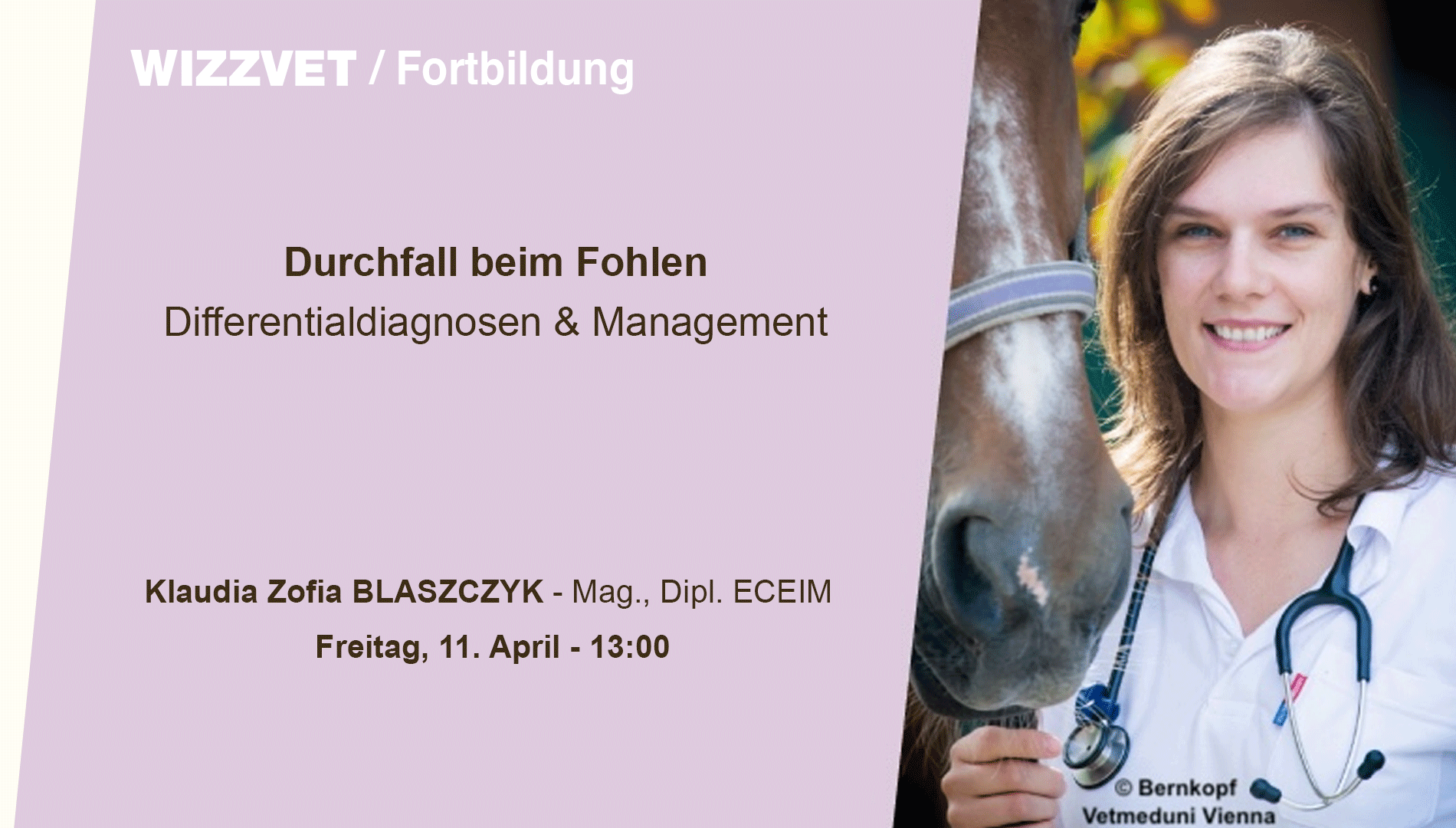 Durchfall beim Fohlen - Differentialdiagnosen und Management