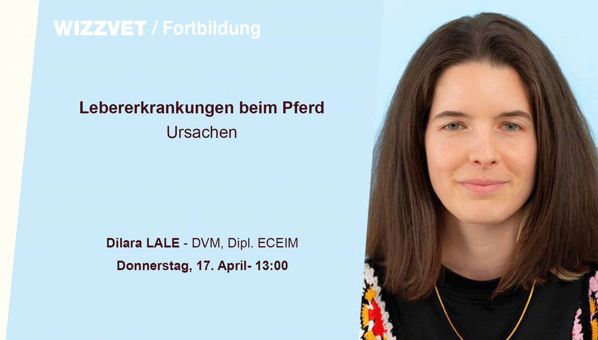 Lebererkrankungen beim Pferd: Ursachen