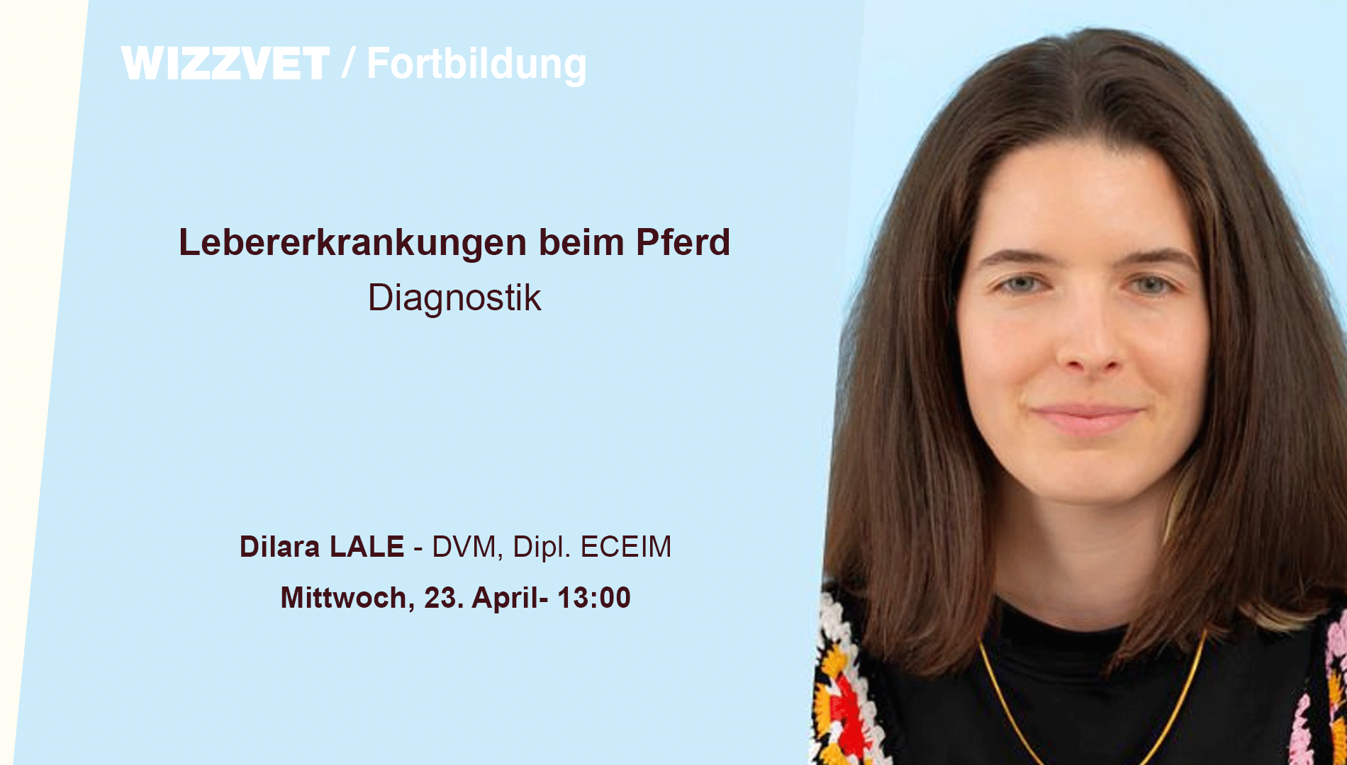 Lebererkrankungen beim Pferd: Diagnostik