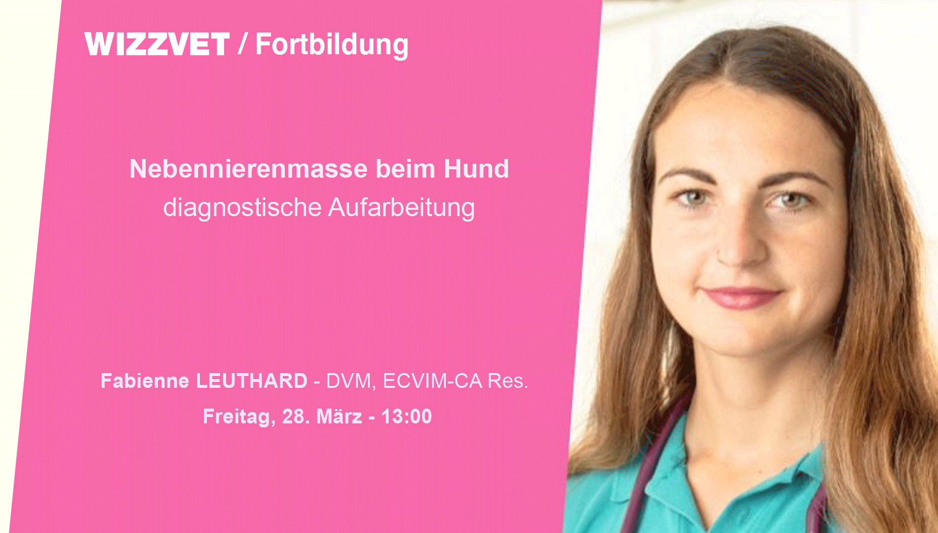 Nebennierenmasse beim Hund - diagnostische Aufarbeitung